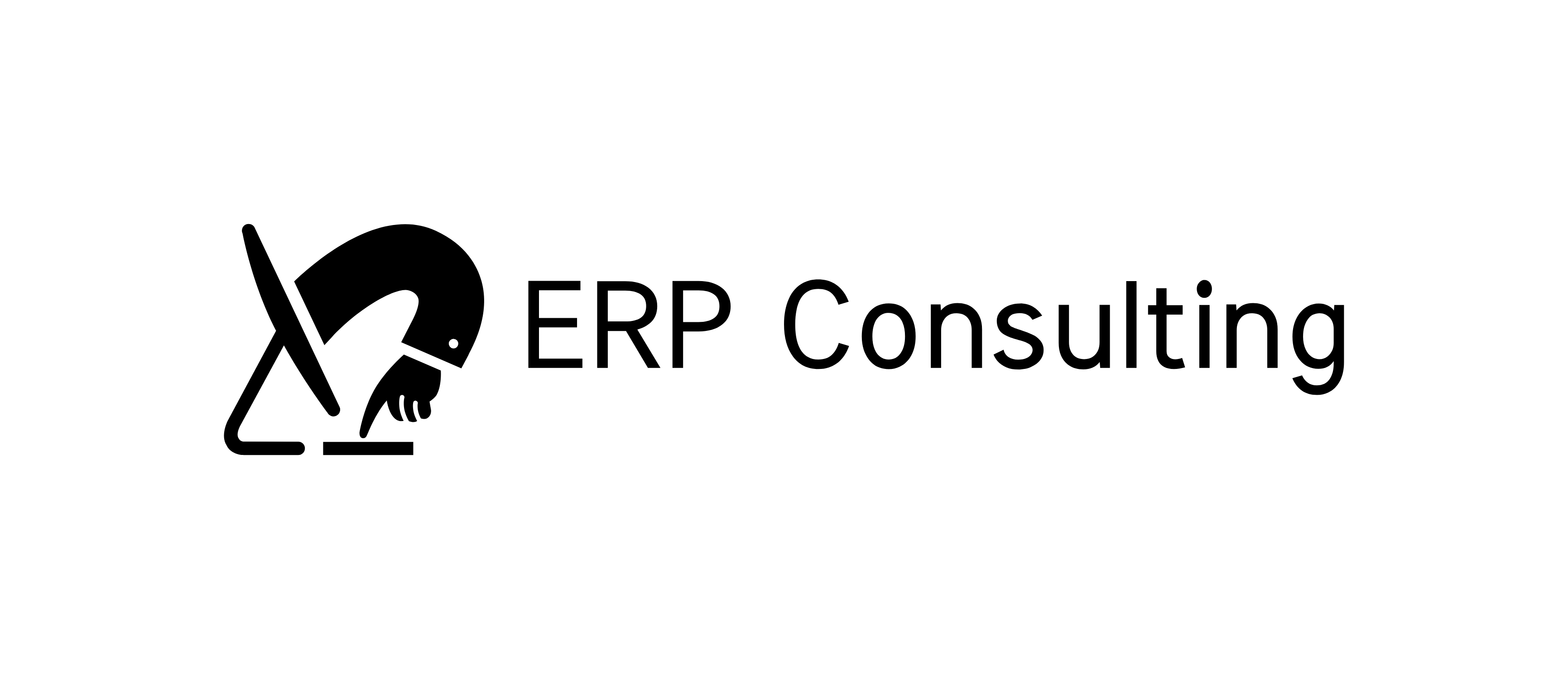 ERP Consulting Helpdesk